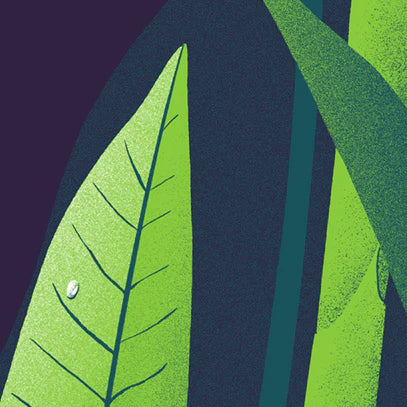 Artprint - Alex Hanke - World Water Day 2024